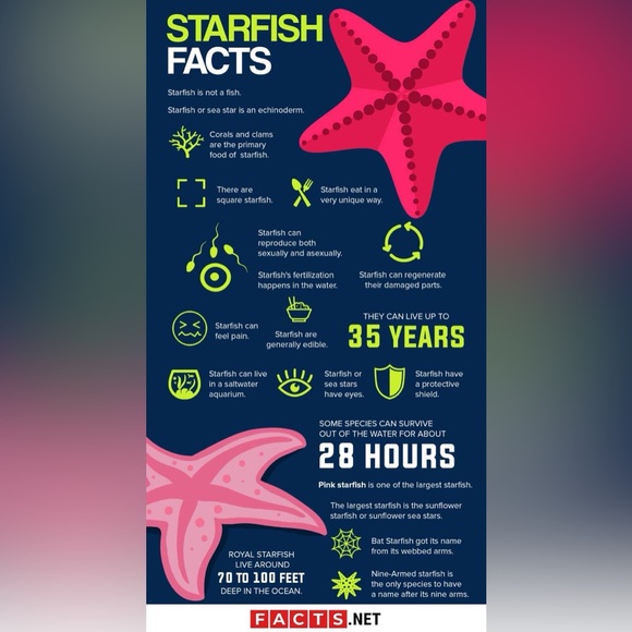 $4 LUMINOUS TURTLE BEACH NECKLACE: NEW. $4 IF BUNDLED - Picture 10 of 16